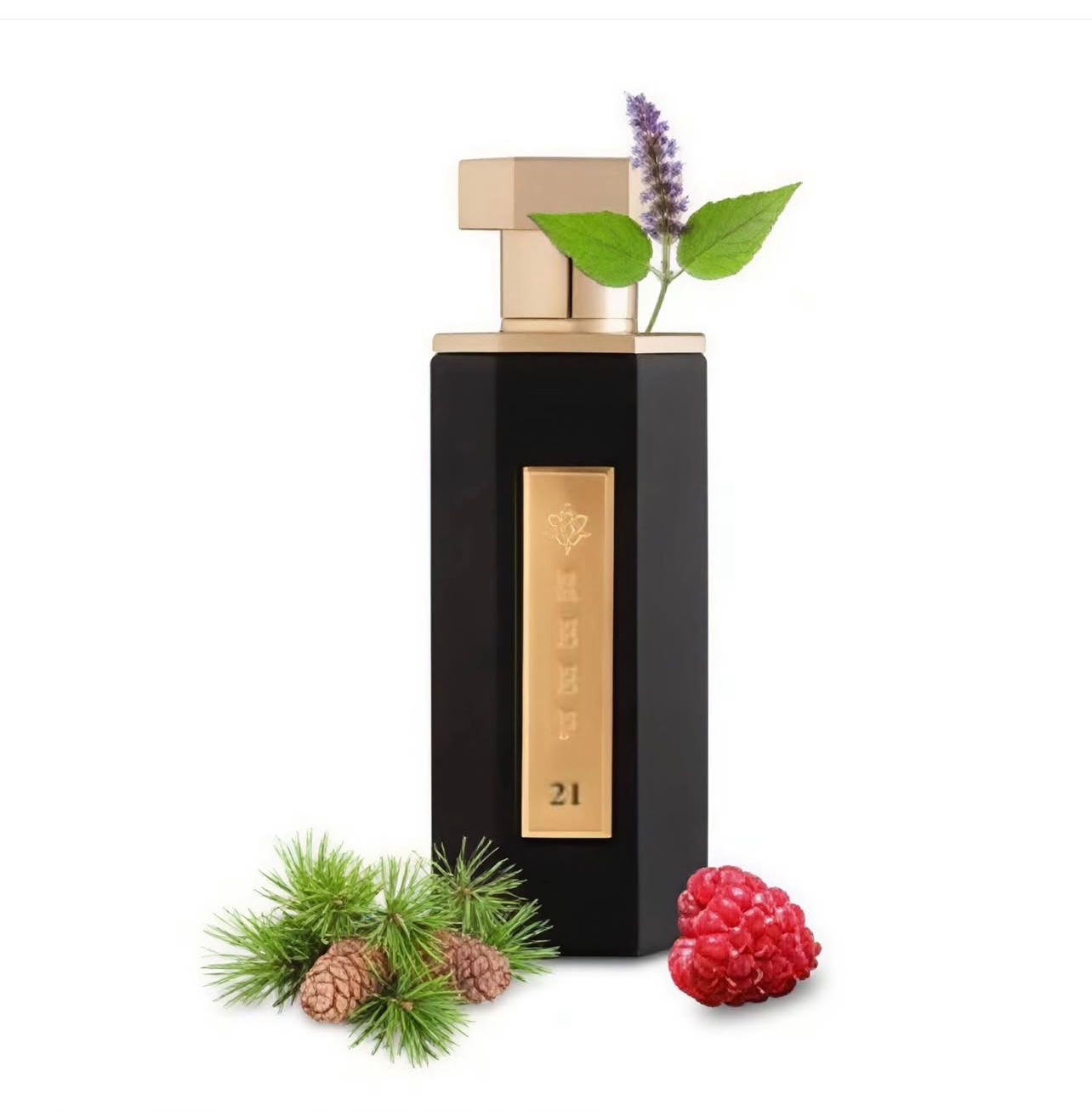 Reef 21 perfume (100ml)