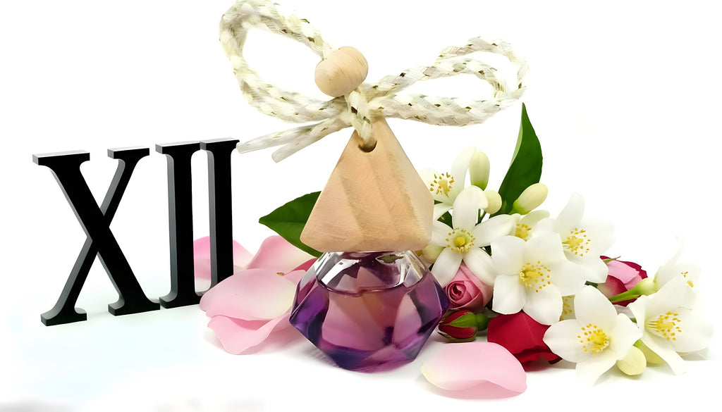 Almas XII – Cova Madelle